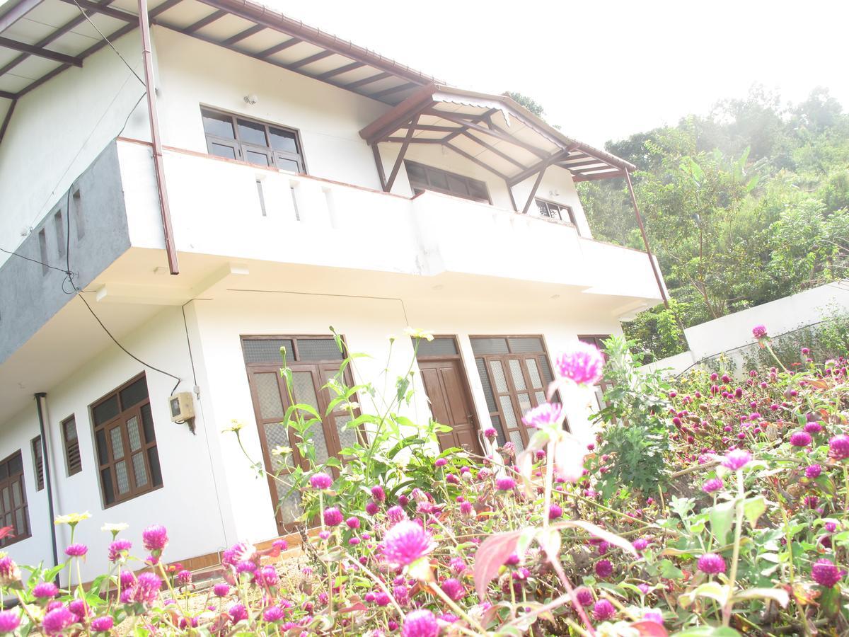 Montes Ella Bed & Breakfast Ngoại thất bức ảnh